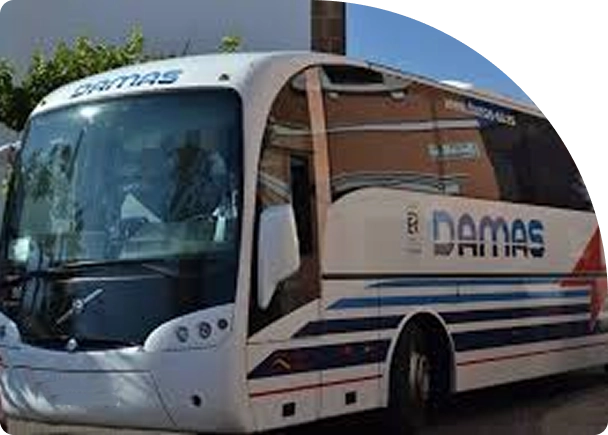 interbus-nuestra-flota-damas Interbus Damas